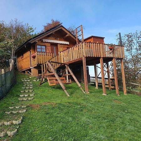 Gnezdo Vid-Ik Villa Catez ob Savi Dış mekan fotoğraf
