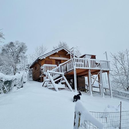 Gnezdo Vid-Ik Villa Catez ob Savi Dış mekan fotoğraf