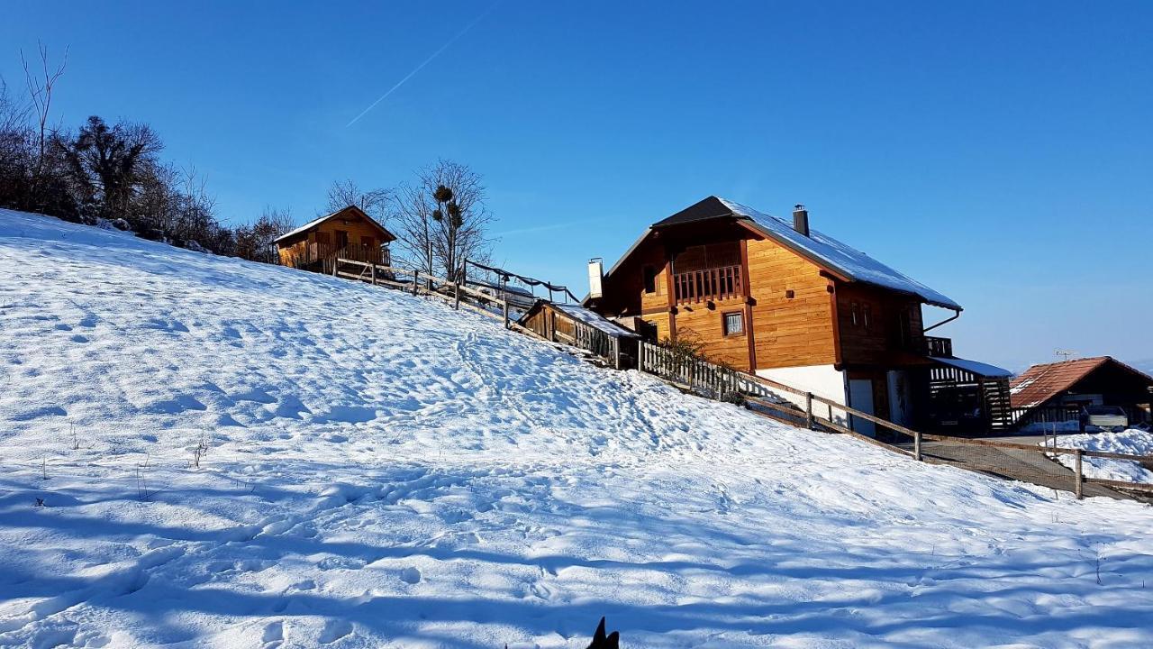 Gnezdo Vid-Ik Villa Catez ob Savi Dış mekan fotoğraf