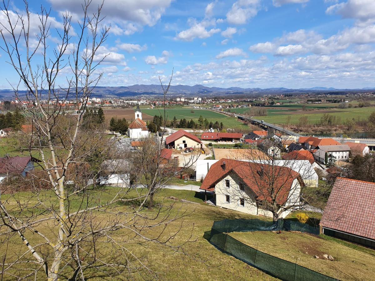 Gnezdo Vid-Ik Villa Catez ob Savi Dış mekan fotoğraf