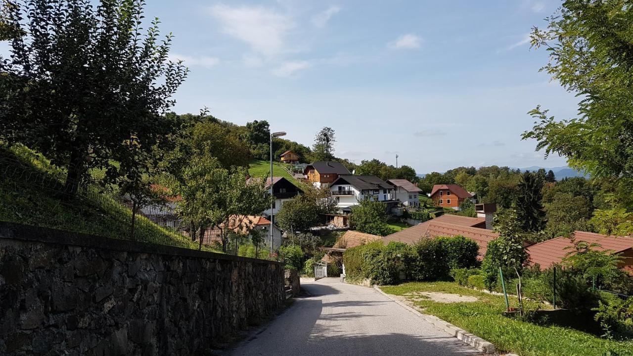 Gnezdo Vid-Ik Villa Catez ob Savi Dış mekan fotoğraf