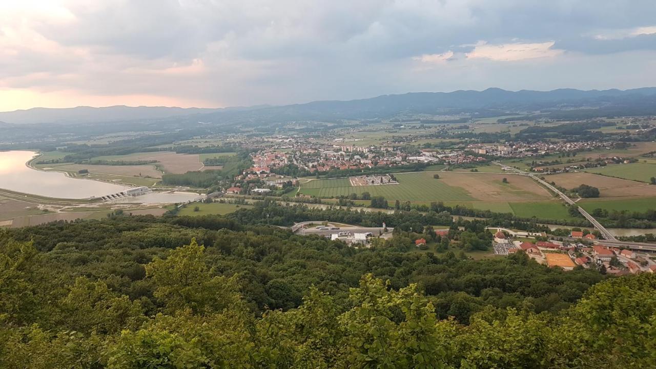 Gnezdo Vid-Ik Villa Catez ob Savi Dış mekan fotoğraf