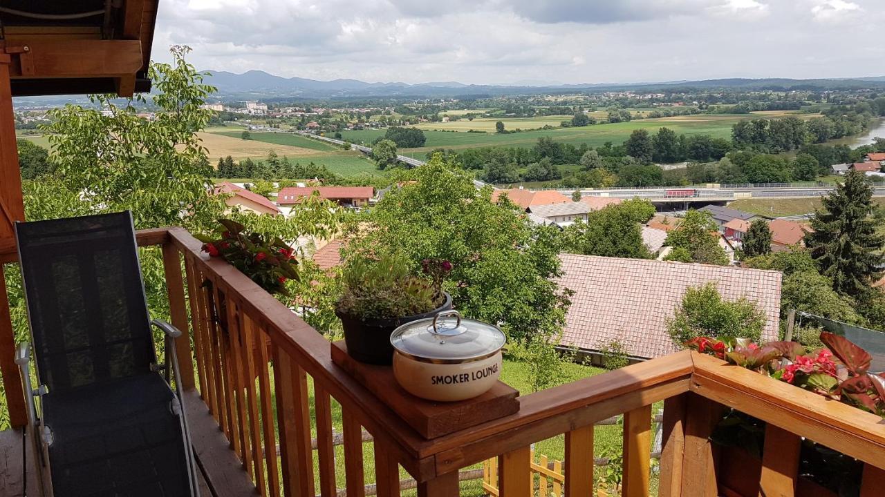 Gnezdo Vid-Ik Villa Catez ob Savi Dış mekan fotoğraf