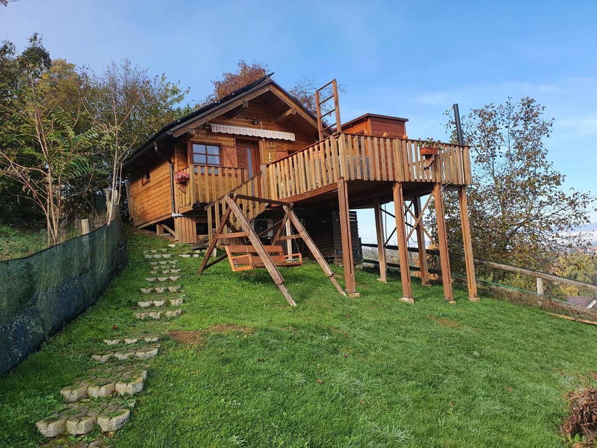 Gnezdo Vid-Ik Villa Catez ob Savi Dış mekan fotoğraf