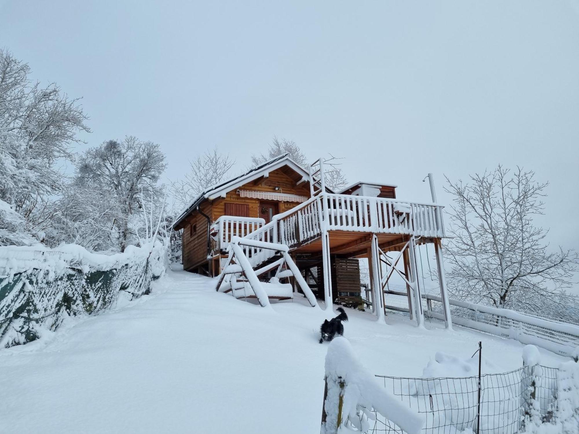 Gnezdo Vid-Ik Villa Catez ob Savi Dış mekan fotoğraf